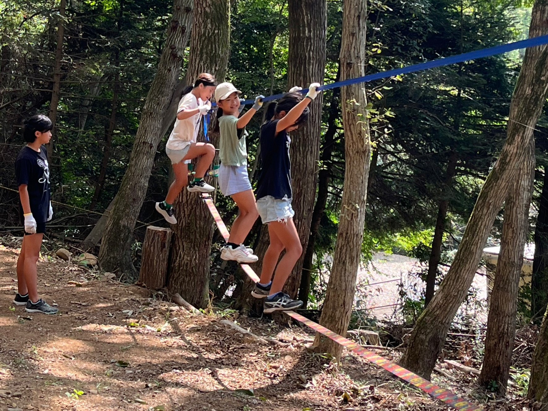 写真：あきる野遊び王国